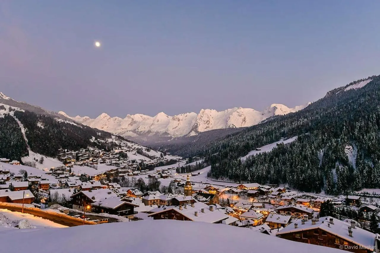 Apartment Appartement L'Erable Le Grand-Bornand France